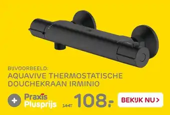 Praxis Aquavive thermostatische douchekraan irminio aanbieding