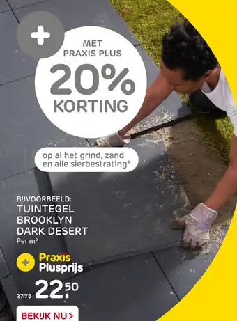 Praxis Tuintegel brooklyn dark desert aanbieding