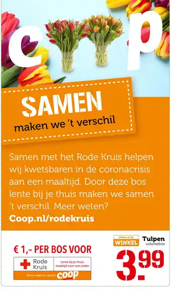 Coop Tulpen aanbieding