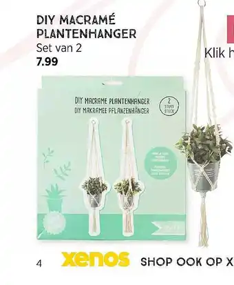 Xenos DIY Macramé Plantenhanger aanbieding