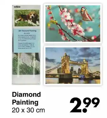 Wibra Diamond painting 20 x 30 cm aanbieding