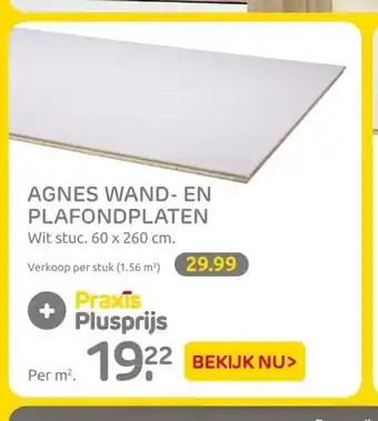 Praxis Agnes wand-en plafondplaten 60 x 260 cm aanbieding