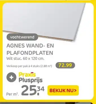 Praxis Agnes wand- en plafondplaten 60 x 120 cm aanbieding