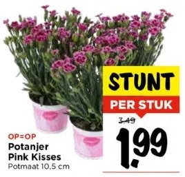 Vomar Voordeelmarkt Potanjer pink kisses aanbieding