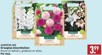 ALDI Draagtas bloembollen keuze uit dahlia's, gladiolen en lelies. per stuk. aanbieding