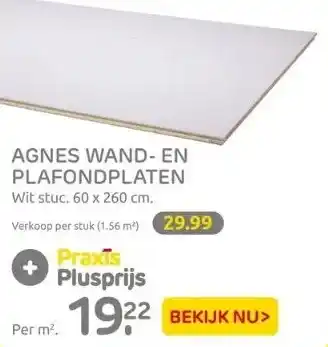 Praxis Agnes wand- en plafondplaten aanbieding