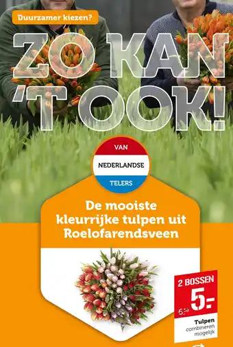 Coop Tulpen aanbieding