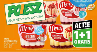 Poiesz Mona gezinspudding aanbieding