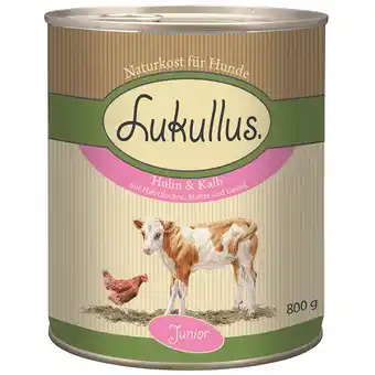 Zooplus 6x800g junior kip & kalf lukullus hondenvoer aanbieding