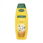 Plein.nl Palmolive shampoo basics elke dag aanbieding