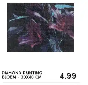 Xenos Diamond painting-bloem- 30 x 40 cm aanbieding