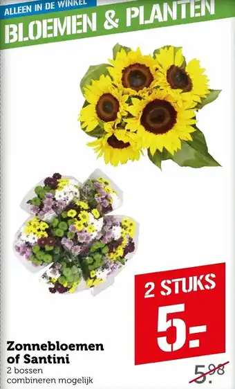 Coop Zonnebloemen of santini aanbieding