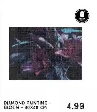 Xenos Diamond painting bloem aanbieding