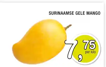 Amazing Oriëntal Surinaamse gele mango aanbieding