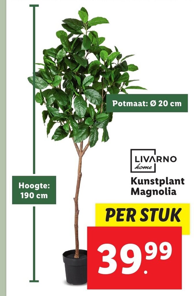 Kunstplant magnolia aanbieding bij Lidl