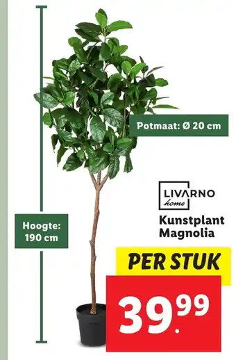 Lidl Kunstplant magnolia aanbieding