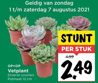 Vomar Voordeelmarkt Vetplant aanbieding