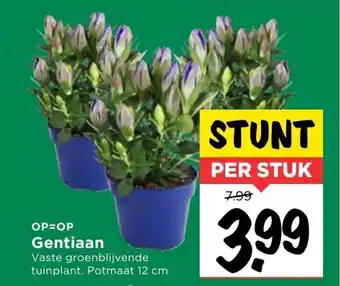 Vomar Voordeelmarkt Gentiaan aanbieding