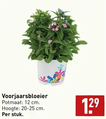 ALDI Voorjaarsbloeier per stuk aanbieding