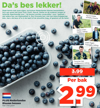 PLUS PLUS Nederlandse Blauwe bessen aanbieding