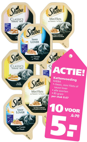 Ranzijn Kattenvoeding aanbieding