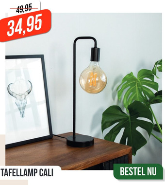 Dimehouse Tafellamp Cali aanbieding