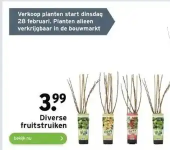 GAMMA Diverse fruitstruiken aanbieding