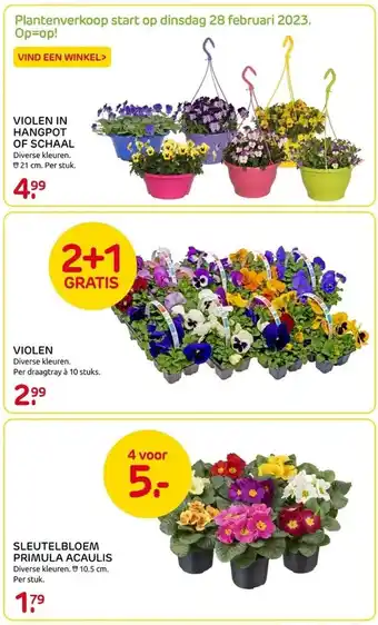 Praxis Diverse bloemen aanbieding