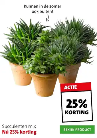 Intratuin Succulenten mix - 25% korting aanbieding