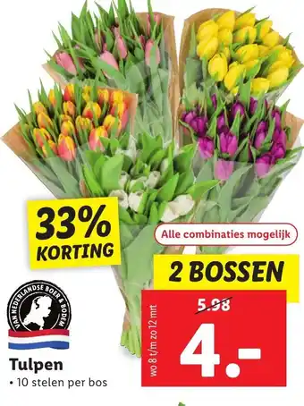 Lidl Tulpen aanbieding