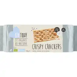 Albert Heijn Biotoday crispy crackers aanbieding