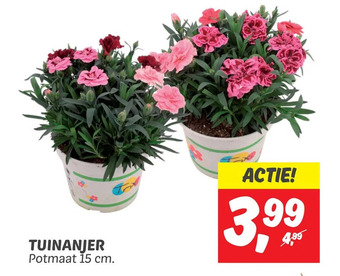 Dekamarkt Tuinanjer aanbieding