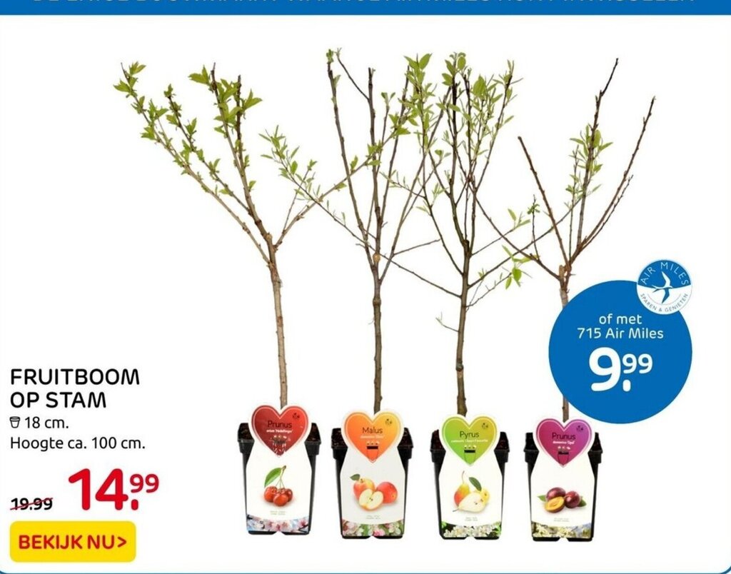 Fruitboom op stam aanbieding bij Praxis