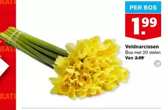 Hoogvliet Veldnarcissen aanbieding