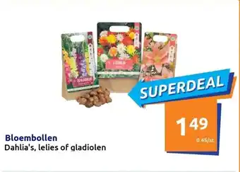 Action Bloembollen aanbieding