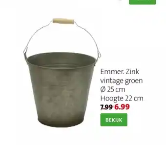 Intratuin Emmer. Zink vintage groen aanbieding