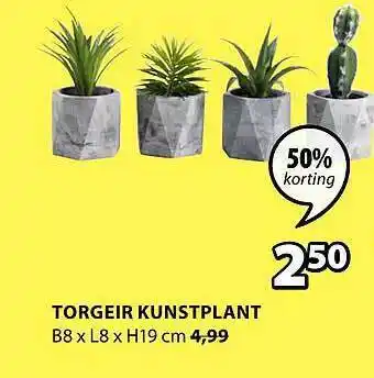 Jysk Torgeir Kunstplant B8 X L8 X H19 Cm 50% Korting b8xl8xh19 cm aanbieding