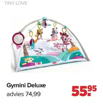 Baby-Dump Gymini deluxe aanbieding