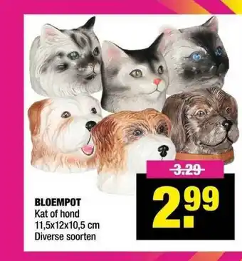 Big Bazar Bloempot Kat Of Hond aanbieding