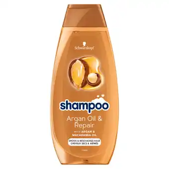 Jumbo Schwarzkopf shampoo argan oil & repair 400 ml, voor droog & beschadigd haar aanbieding