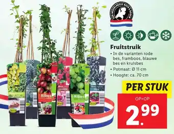 Lidl Fruitstruik aanbieding