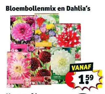 Kruidvat Bloembollenmix en Dahlia's aanbieding