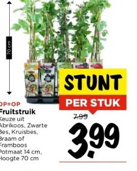 Vomar Voordeelmarkt Fruitstruik aanbieding