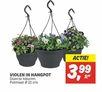 Dekamarkt Violen in hangpot 21cm aanbieding