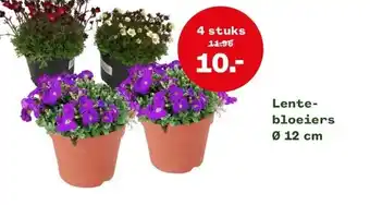 Welkoop Lentebloeiers ø 12 cm aanbieding