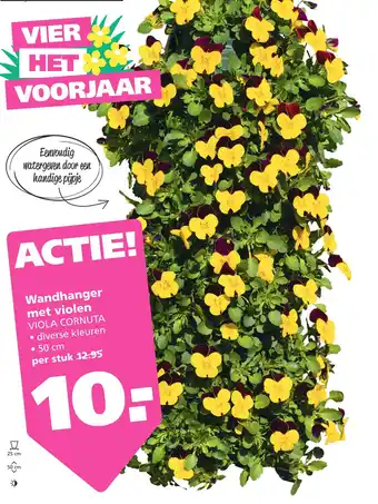 Ranzijn Wandhanger met violen aanbieding