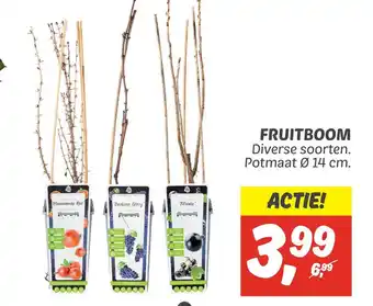 Dekamarkt Fruitboom aanbieding