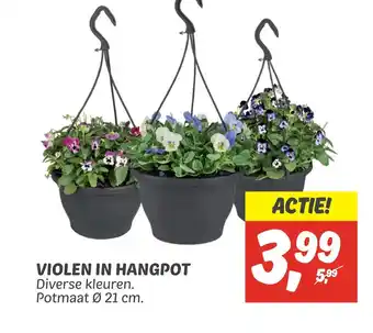 Dekamarkt Violen in hangpot aanbieding