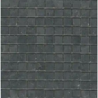 Praxis Mozaïektegel blackstone 30x30cm aanbieding