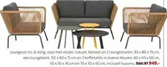 Intratuin Loungeset iris aanbieding